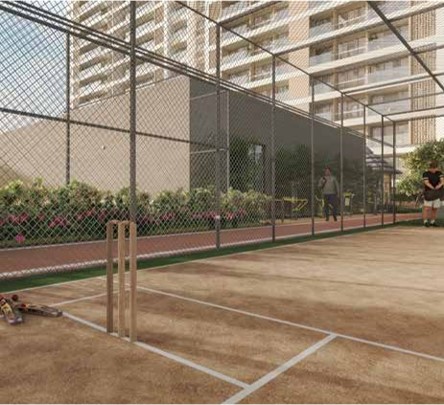 Cricket Net